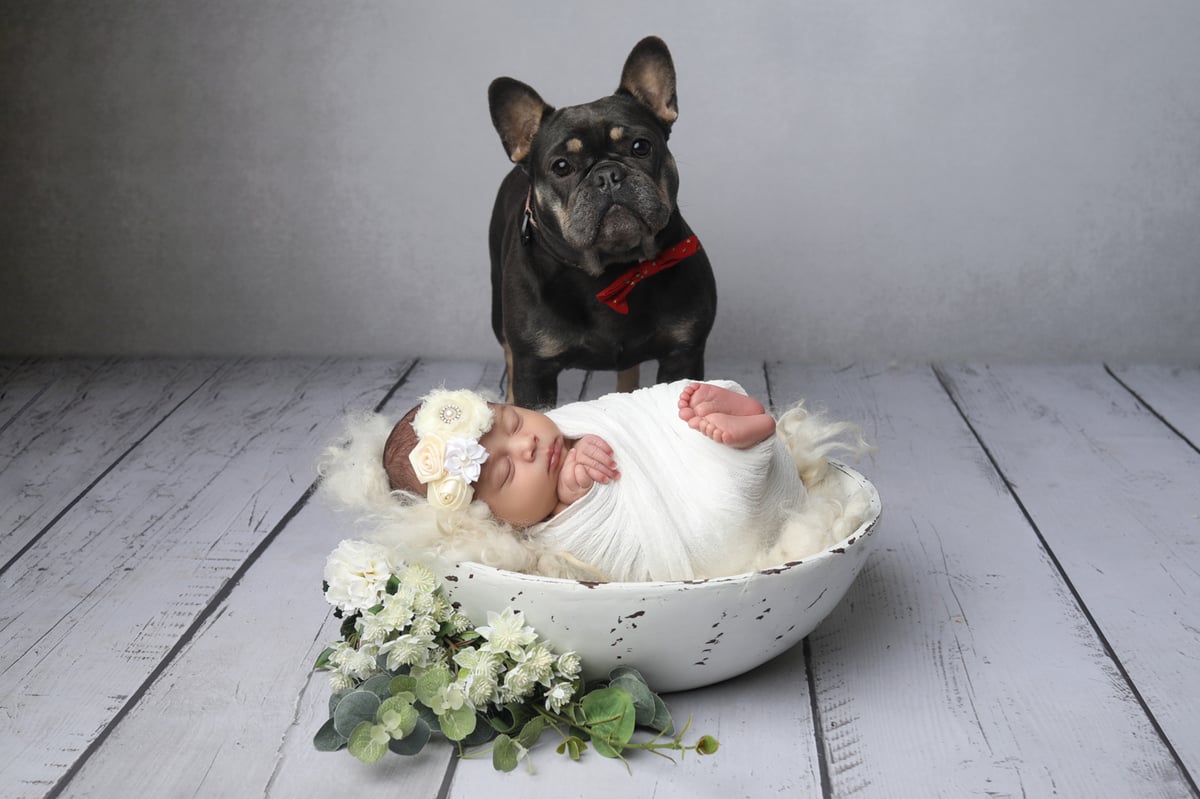 baby and dog posing for a professionally taken photo