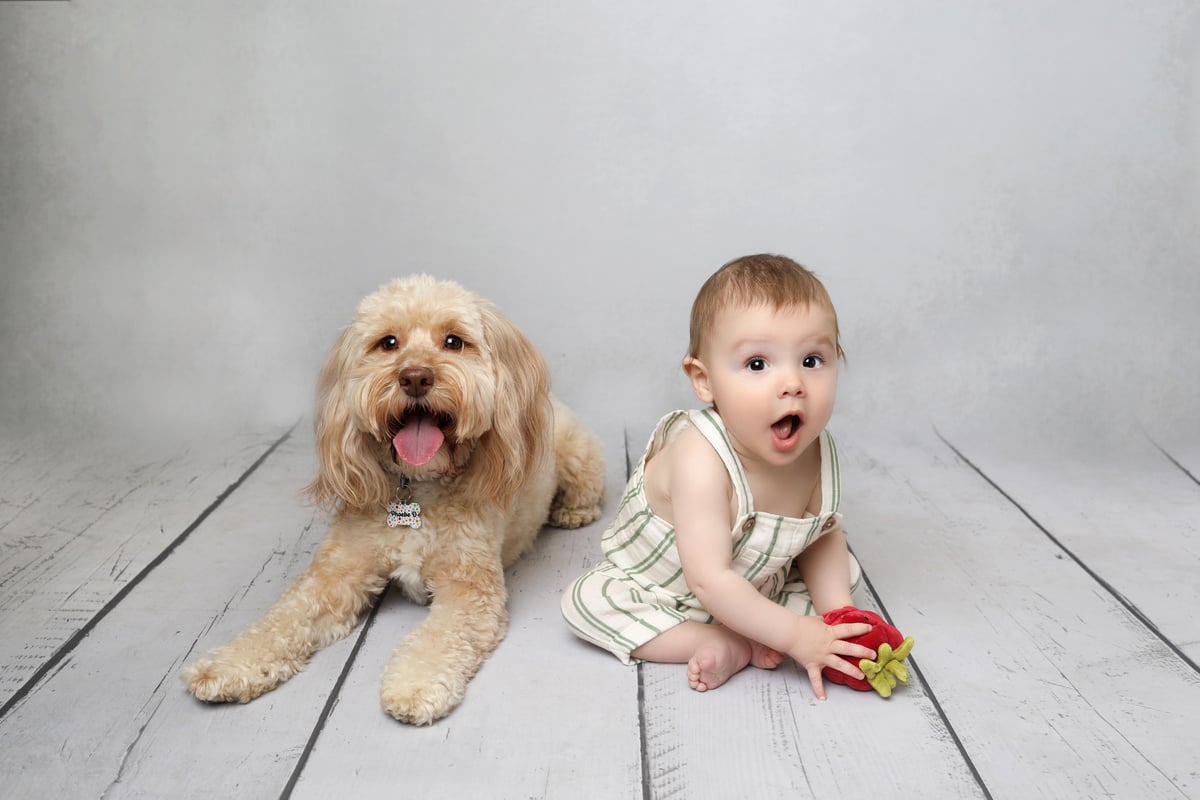 dog and baby posing in baby art studios bedfordshire photo