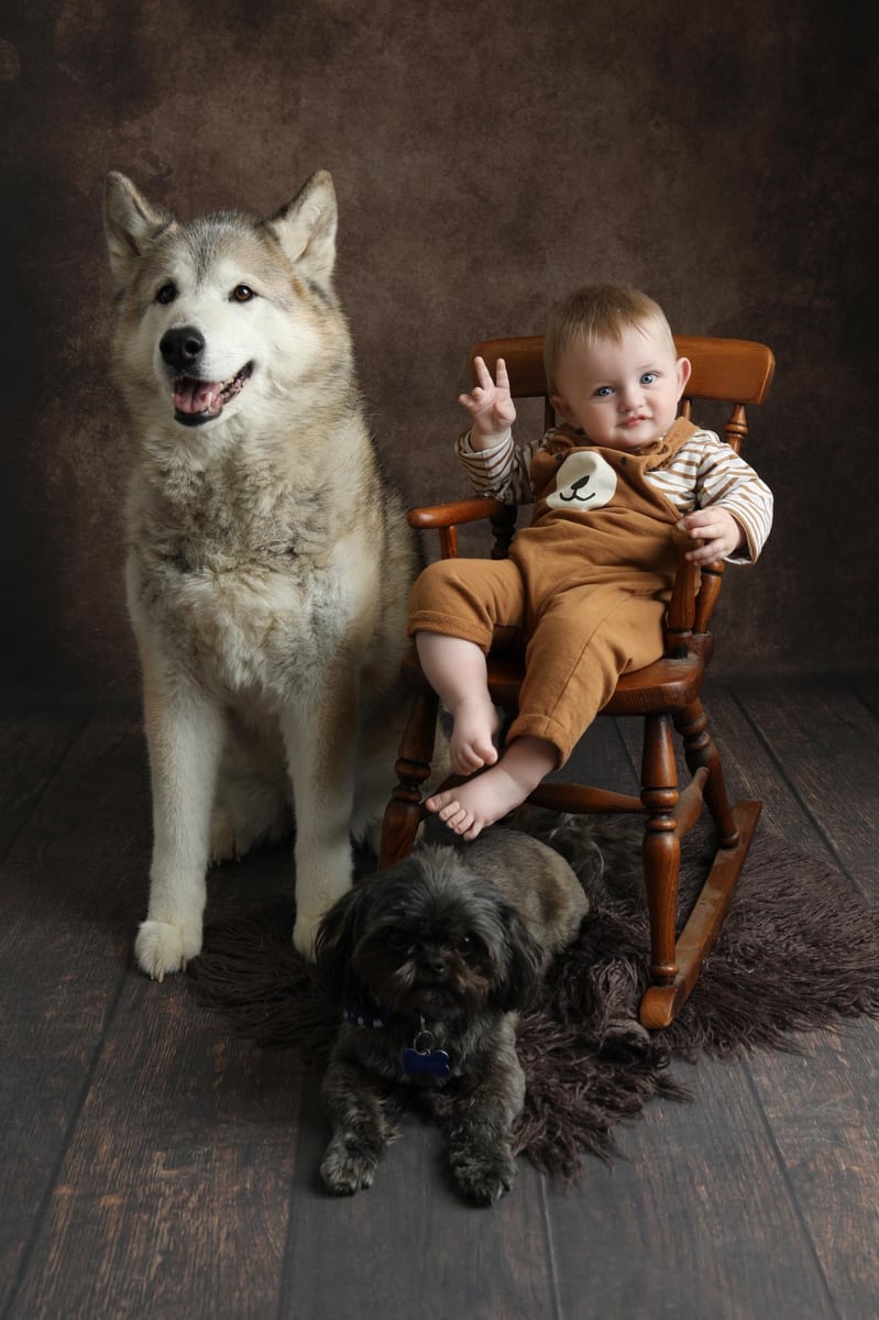 baby and dogs posing for a professionally taken photograph